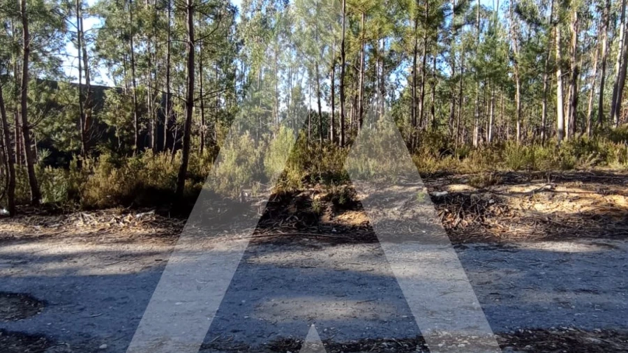 Terreno para Venda em Marrazes e Barosa