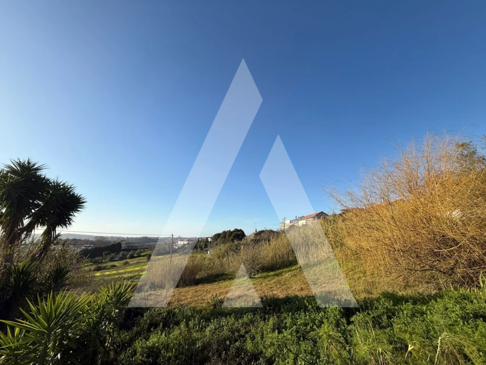 Terreno para Venda em Aljubarrota Foto 10