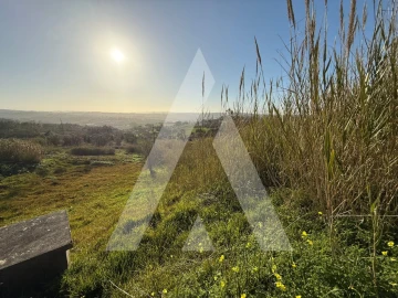 Terreno para Venda em Aljubarrota