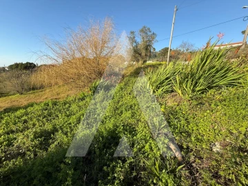 Terreno para Venda em Aljubarrota