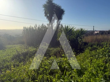 Terreno para Venda em Aljubarrota
