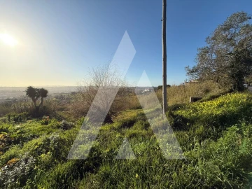 Terreno para Venda em Aljubarrota