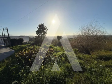 Terreno para Venda em Aljubarrota