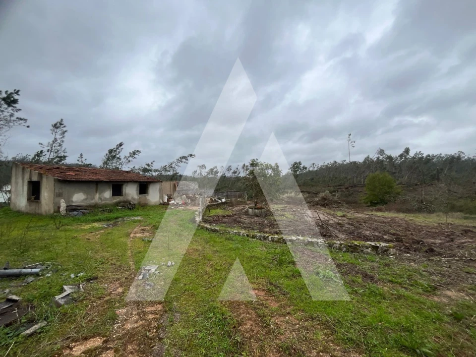 Moradia T3 para Venda em Rio de Couros e Casal dos Bernardos Foto 17