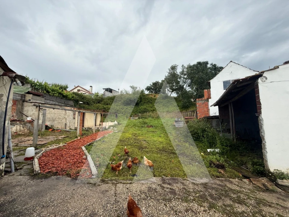 Moradia T3 para Venda em Santiago e São Simão de Litém e Albergaria dos Doze Foto 54