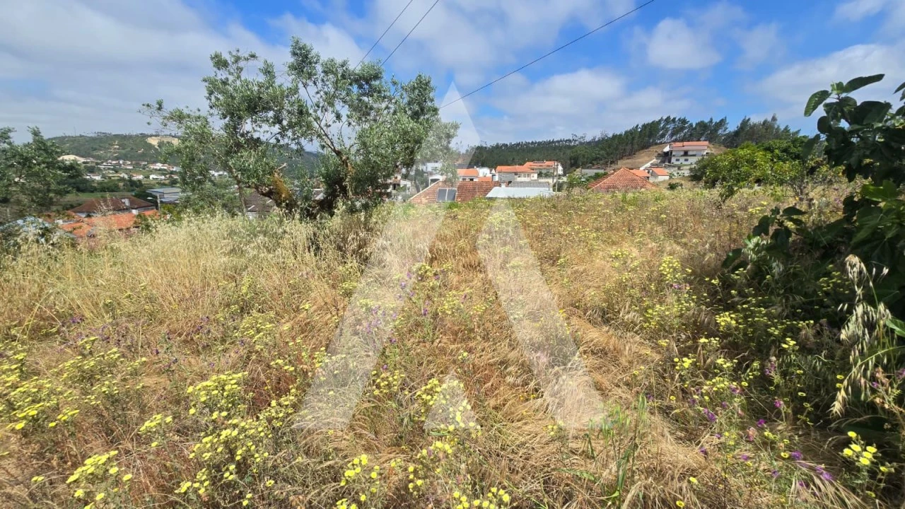 Terreno para Venda em Caranguejeira Foto 3