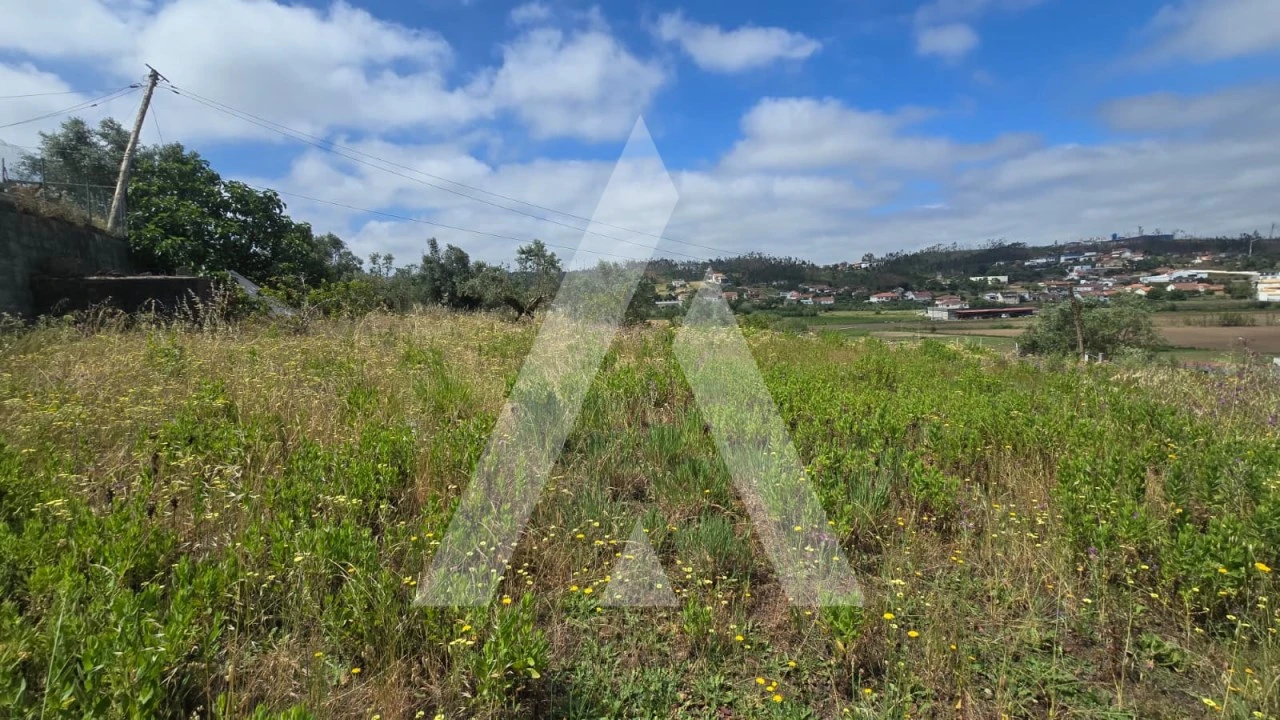 Terreno para Venda em Caranguejeira Foto 6