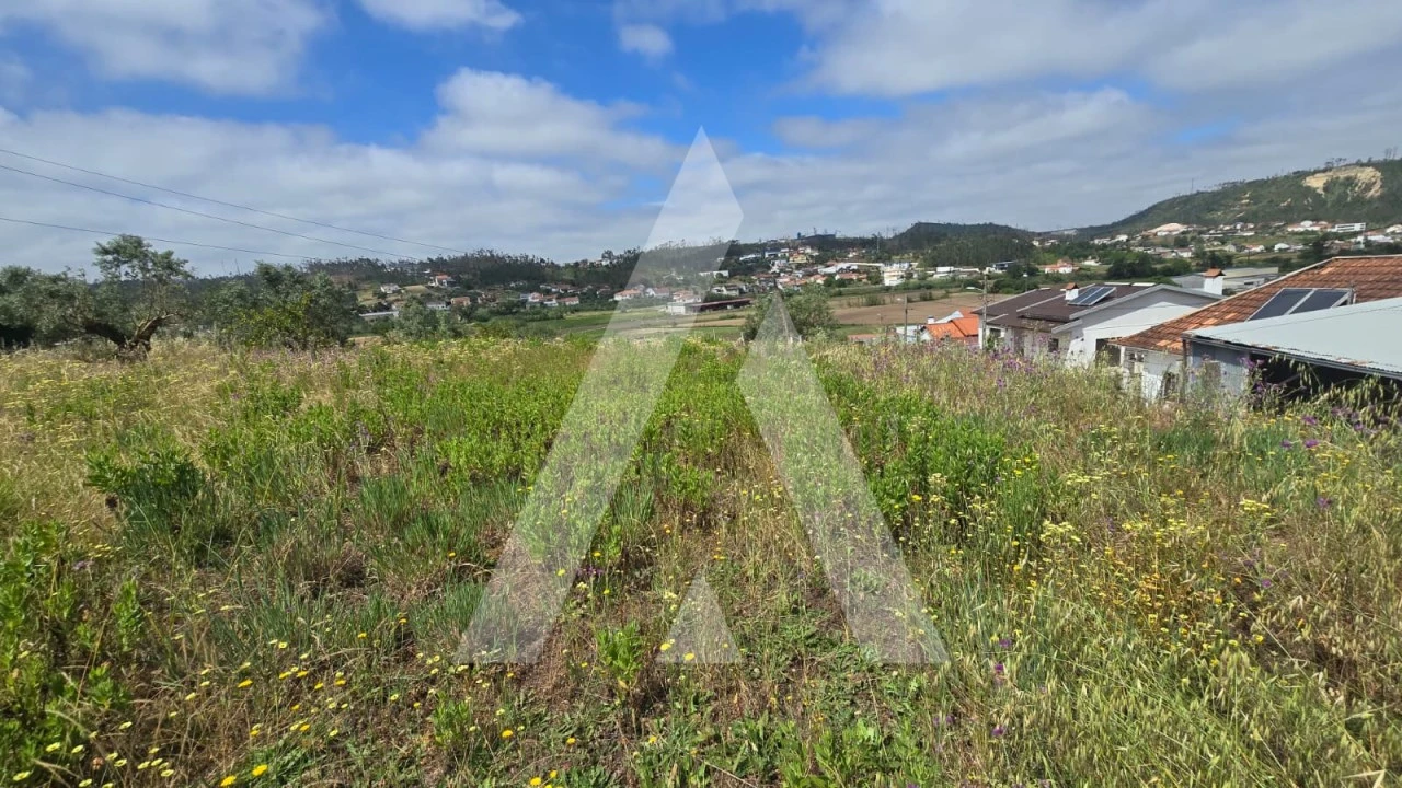 Terreno para Venda em Caranguejeira Foto 7