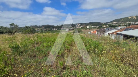 Terreno para Venda em Caranguejeira