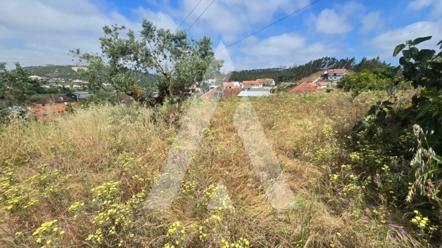 Terreno para Venda em Caranguejeira Foto 3
