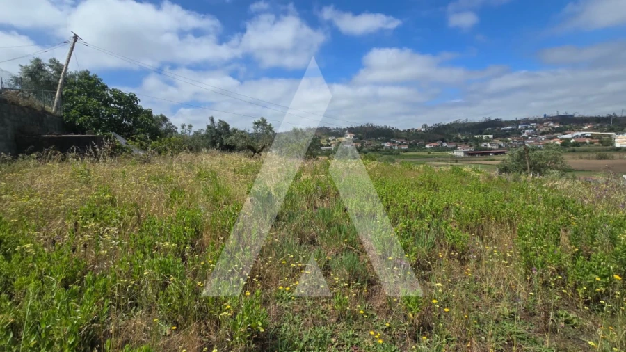 Terreno para Venda em Caranguejeira Foto 6