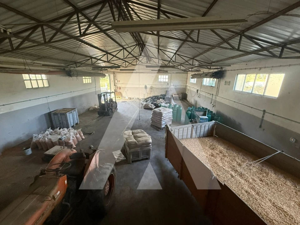 Armazém para Venda em Caranguejeira Foto 5