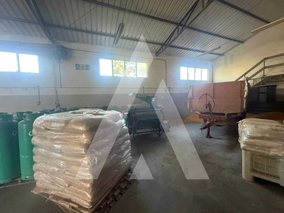 Armazém para Venda em Caranguejeira Foto 20