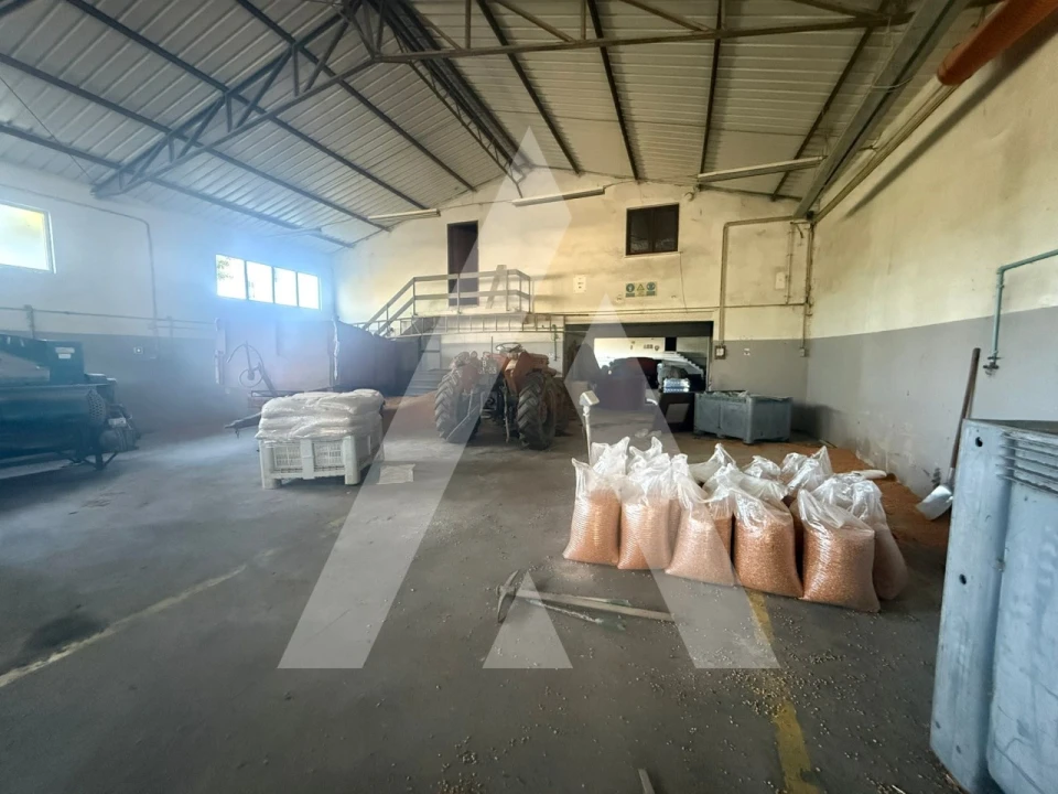 Armazém para Venda em Caranguejeira Foto 21