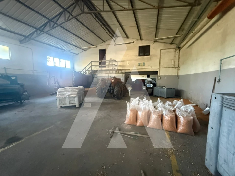 Armazém para Venda em Caranguejeira Foto 22