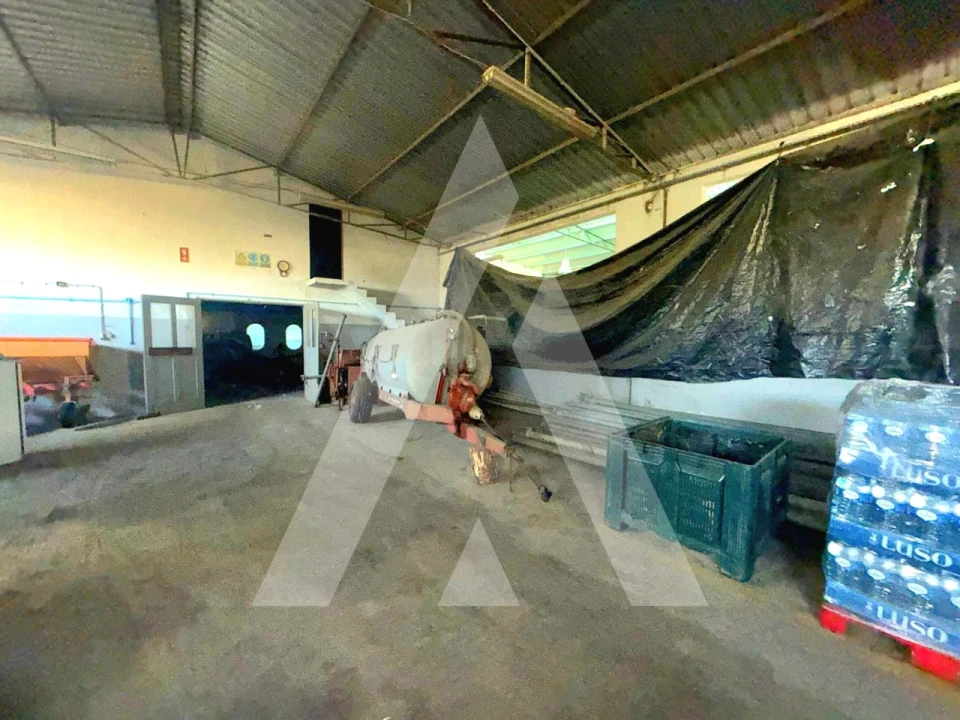 Armazém para Venda em Caranguejeira Foto 28