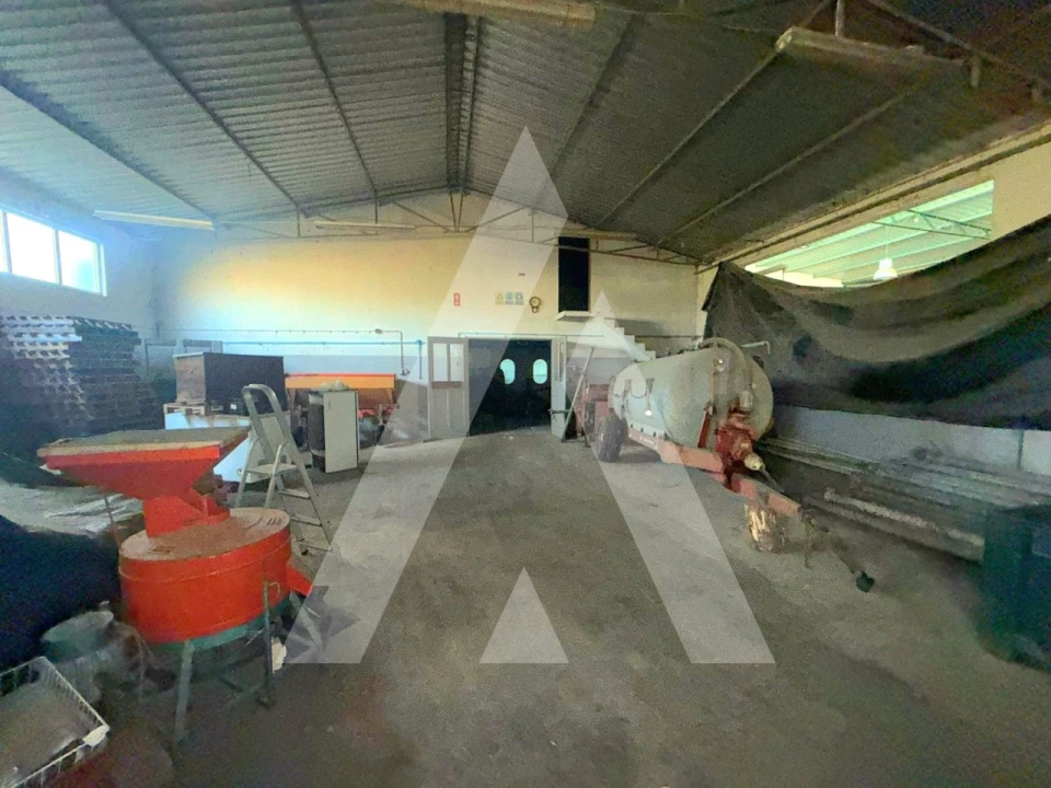 Armazém para Venda em Caranguejeira Foto 29