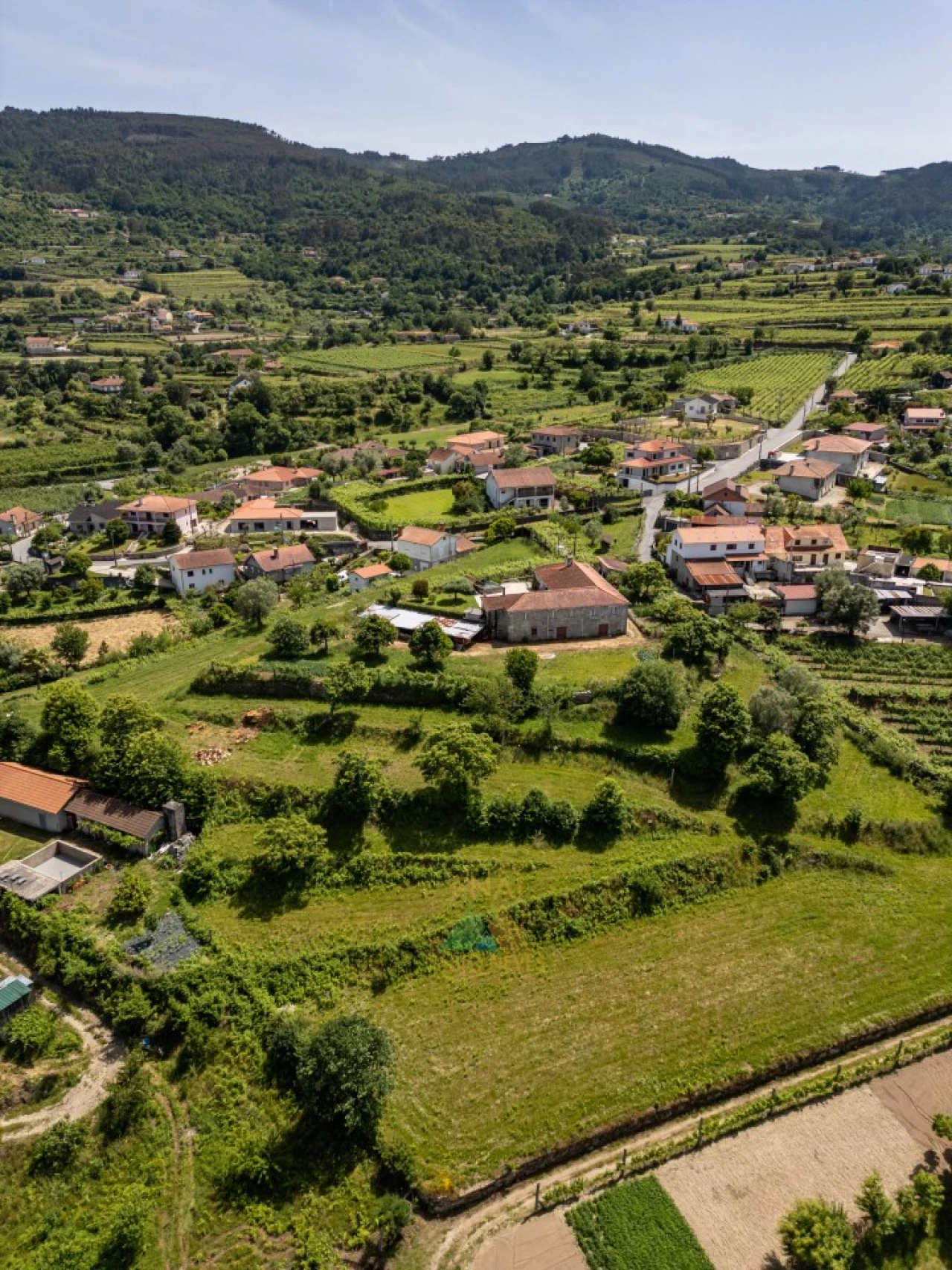Quinta T5 para Venda em Beiral do Lima Foto 24