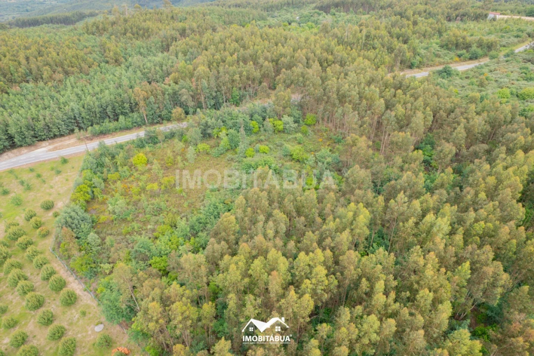 Moradia para Venda em Lagos da Beira e Lajeosa Foto 31