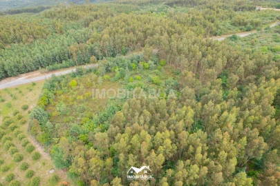 Moradia para Venda em Lagos da Beira e Lajeosa