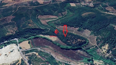 Terreno Agricola ou Rústico para Venda em Almoster