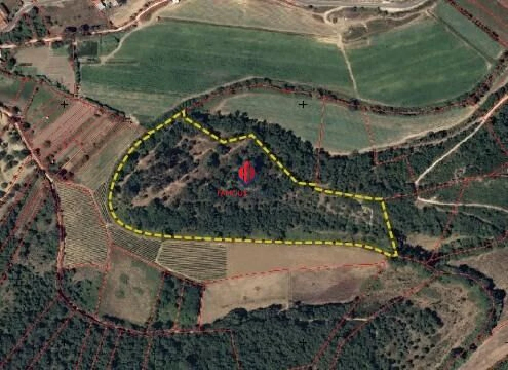 Terreno Agricola ou Rústico para Venda em Almoster Foto 1