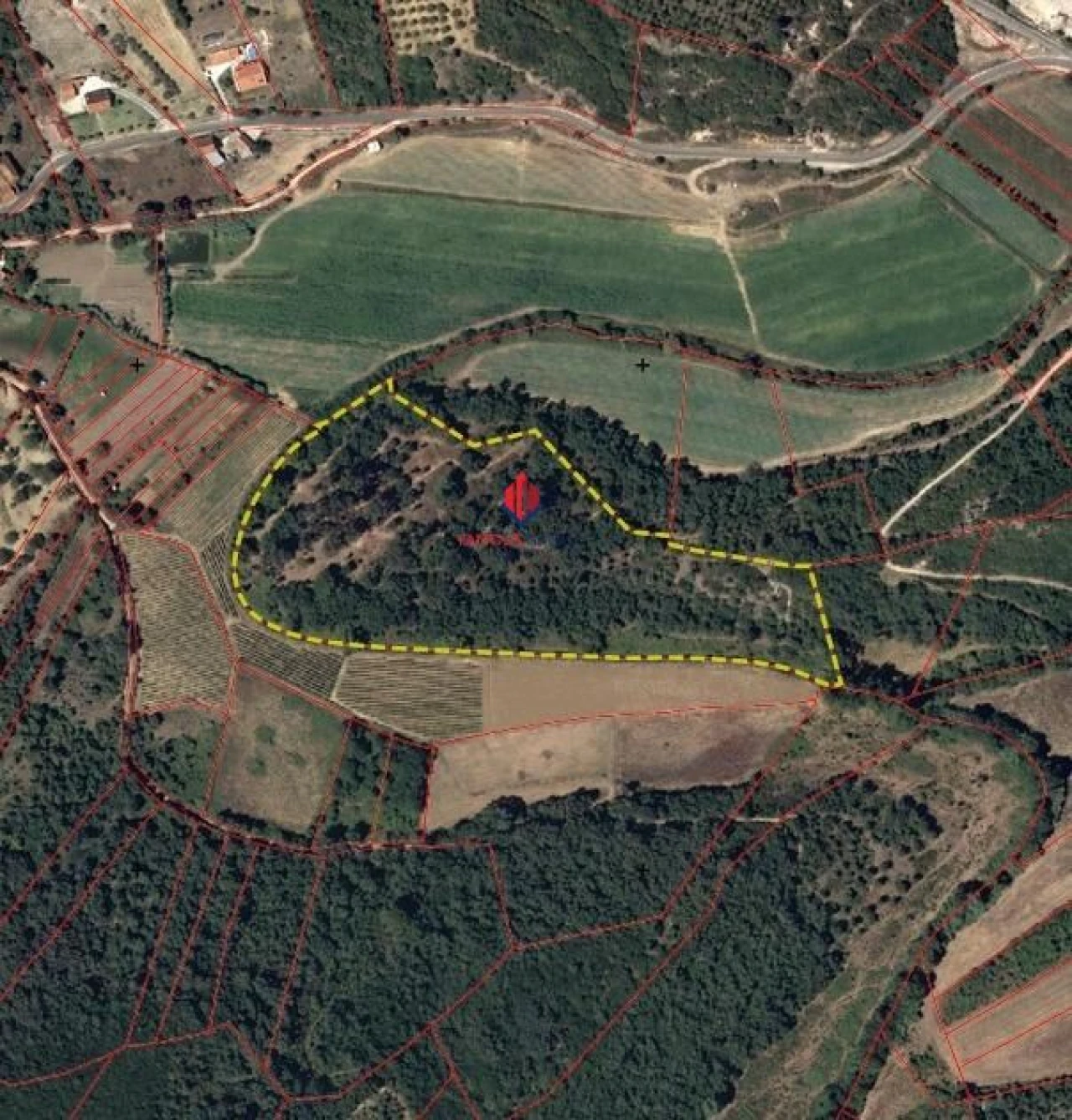 Terreno Agricola ou Rústico para Venda em Almoster Foto 3