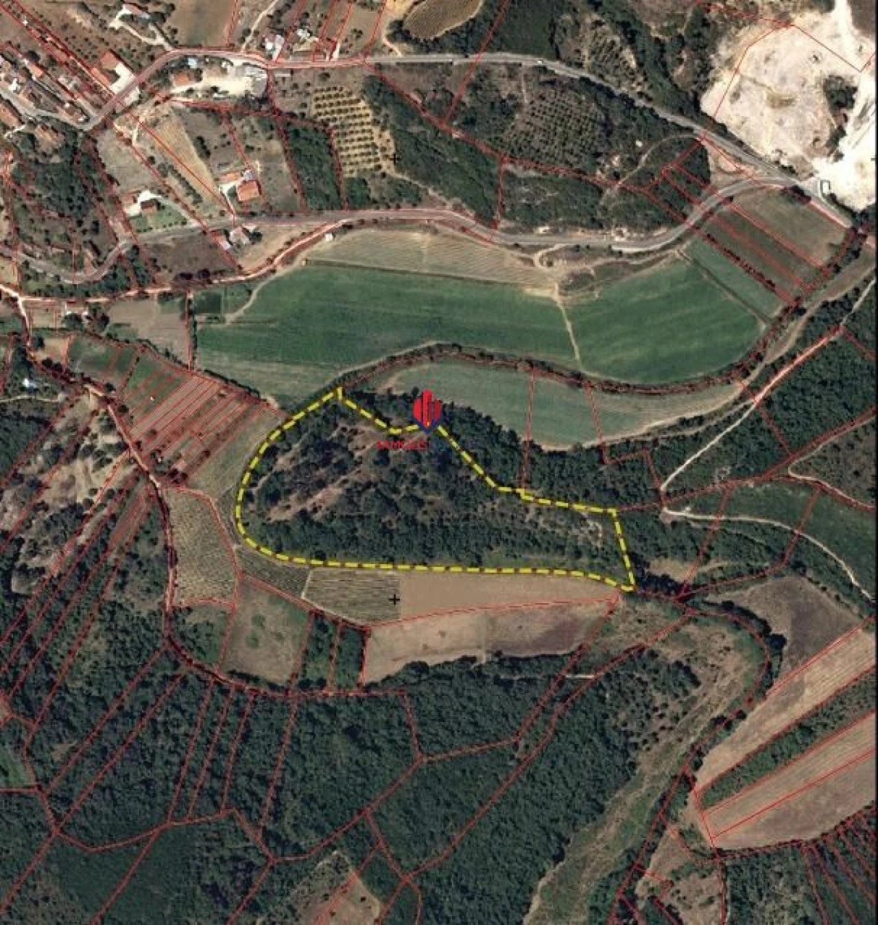 Terreno Agricola ou Rústico para Venda em Almoster Foto 4