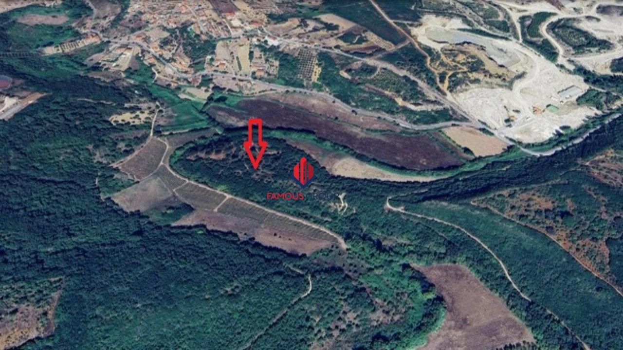 Terreno Agricola ou Rústico para Venda em Almoster Foto 6