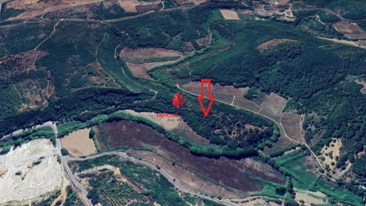Terreno Agricola ou Rústico para Venda em Almoster Foto 7