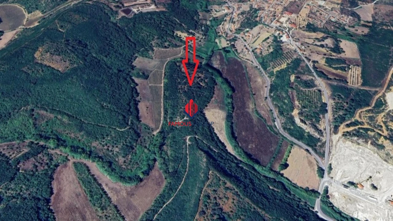 Terreno Agricola ou Rústico para Venda em Almoster Foto 8