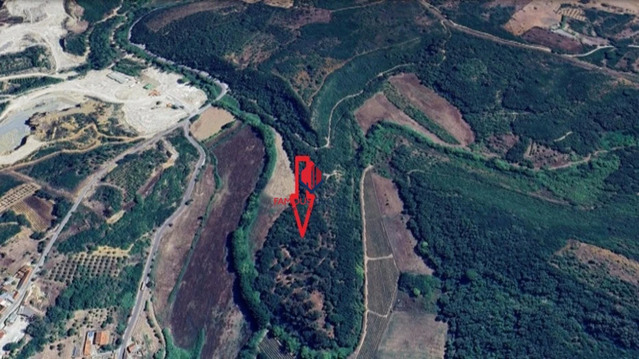 Terreno Agricola ou Rústico para Venda em Almoster Foto 9