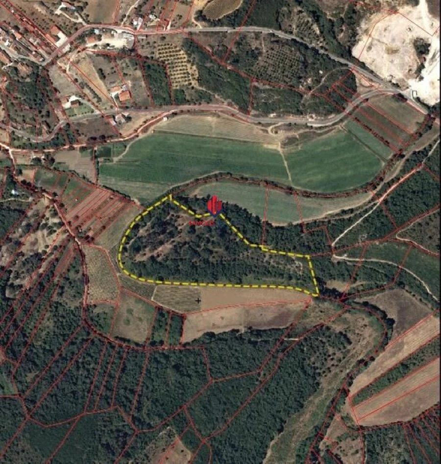 Terreno Agricola ou Rústico para Venda em Almoster Foto 4