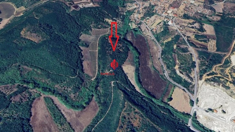 Terreno Agricola ou Rústico para Venda em Almoster Foto 8