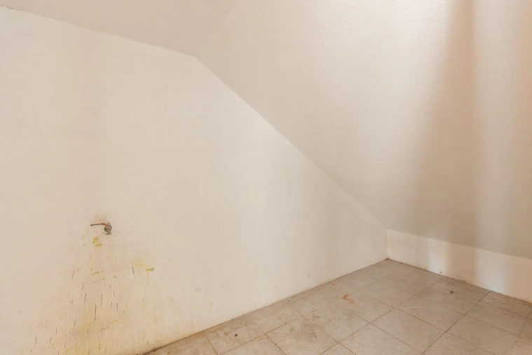 Armazém para Venda em Fajozes Foto 13