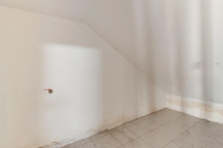 Armazém para Venda em Fajozes Foto 21