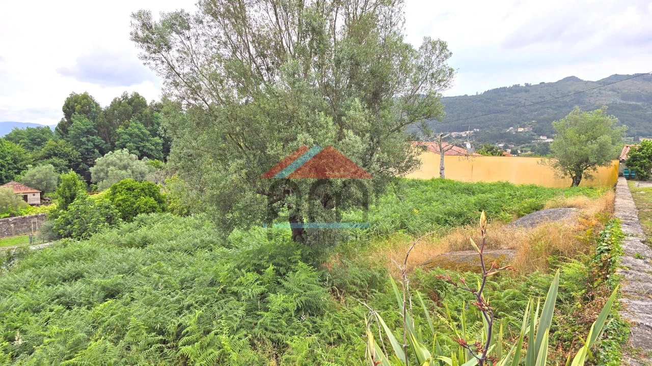Terreno para Venda em Geraz do Lima (Santa Maria, Santa Leocádia, Moreira), Deão Foto 6
