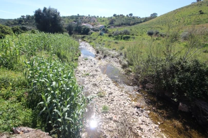 Terreno para Venda em São Bartolomeu de Messines