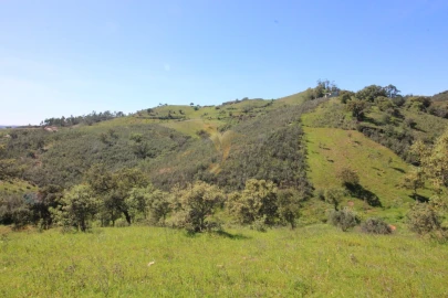 Terreno para Venda em São Bartolomeu de Messines