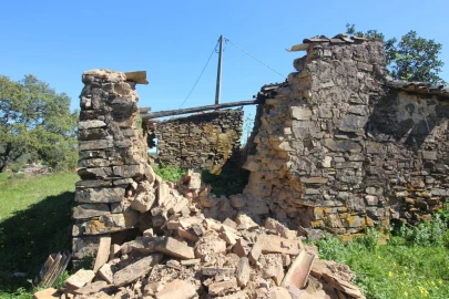Terreno para Venda em São Bartolomeu de Messines