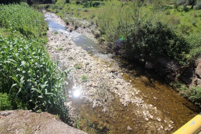 Terreno para Venda em São Bartolomeu de Messines