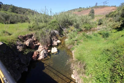 Terreno para Venda em São Bartolomeu de Messines
