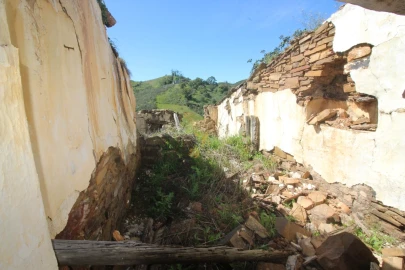 Terreno para Venda em São Bartolomeu de Messines
