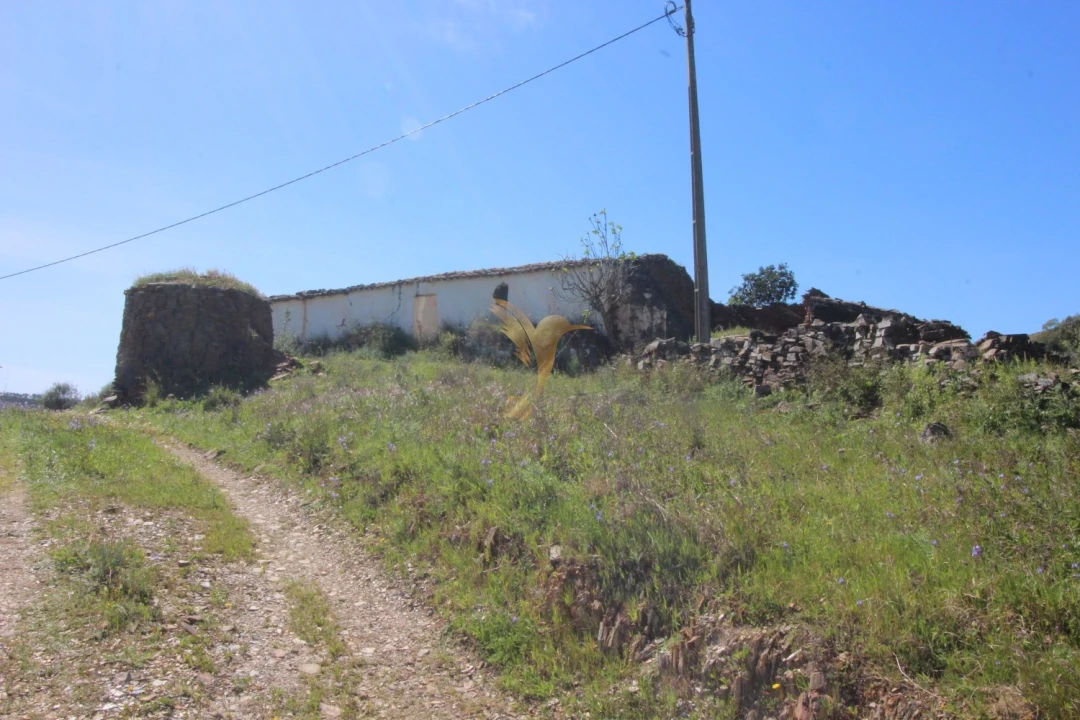 Terreno para Venda em São Bartolomeu de Messines Foto 22
