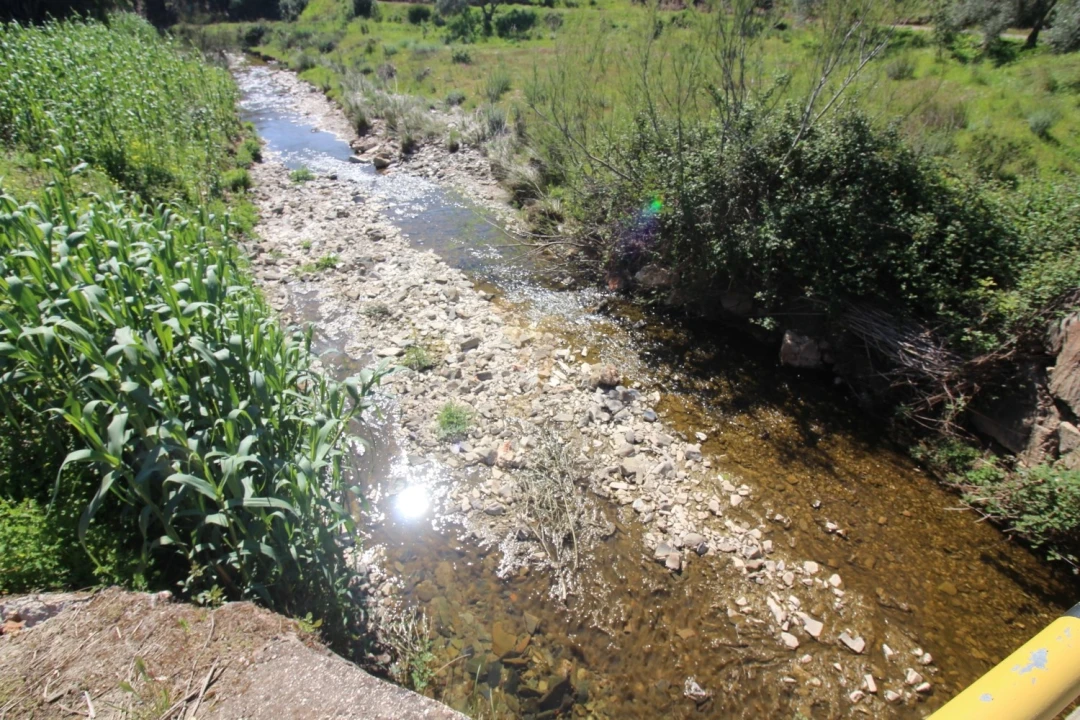 Terreno para Venda em São Bartolomeu de Messines Foto 25