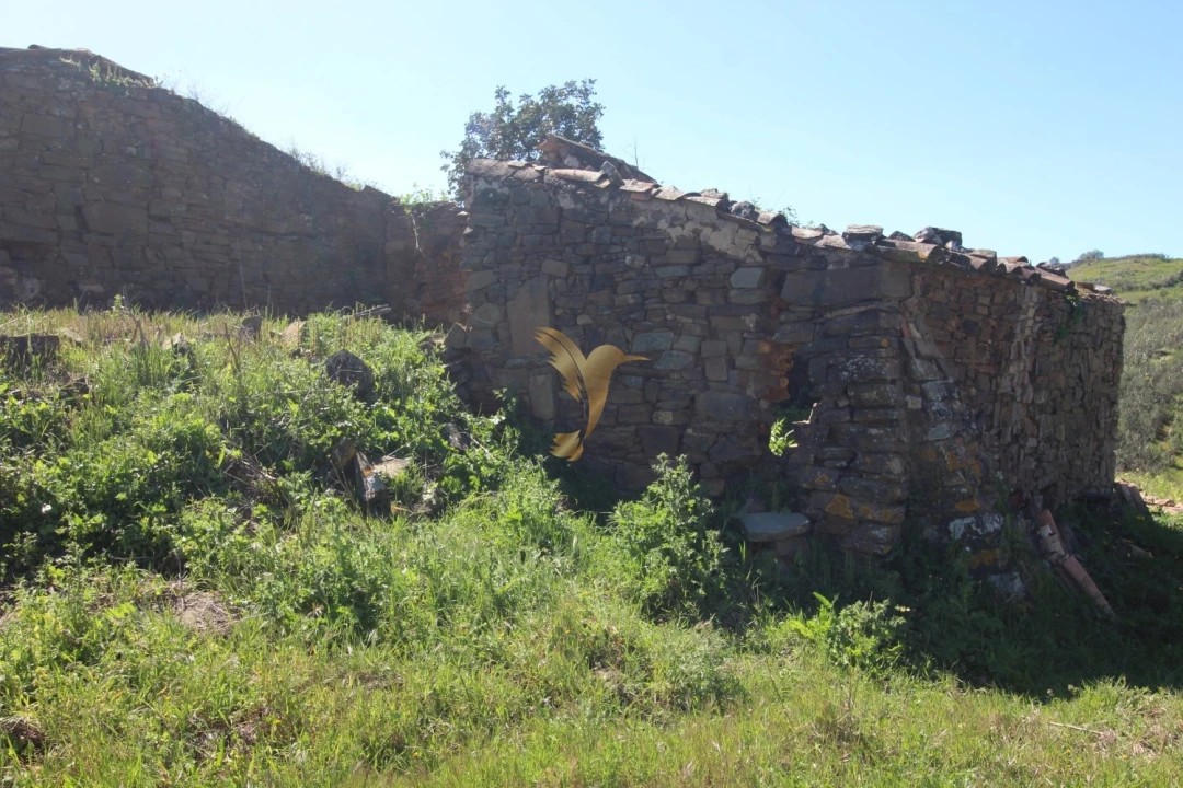 Terreno para Venda em São Bartolomeu de Messines Foto 15