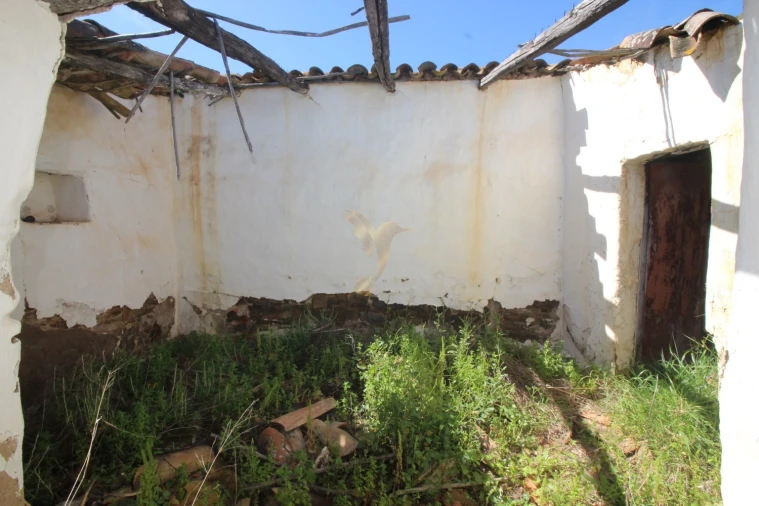 Terreno para Venda em São Bartolomeu de Messines Foto 17
