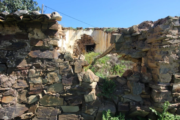 Terreno para Venda em São Bartolomeu de Messines Foto 12