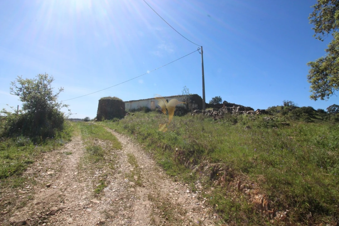 Terreno para Venda em São Bartolomeu de Messines Foto 23