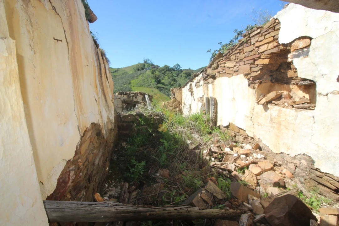 Terreno para Venda em São Bartolomeu de Messines Foto 19